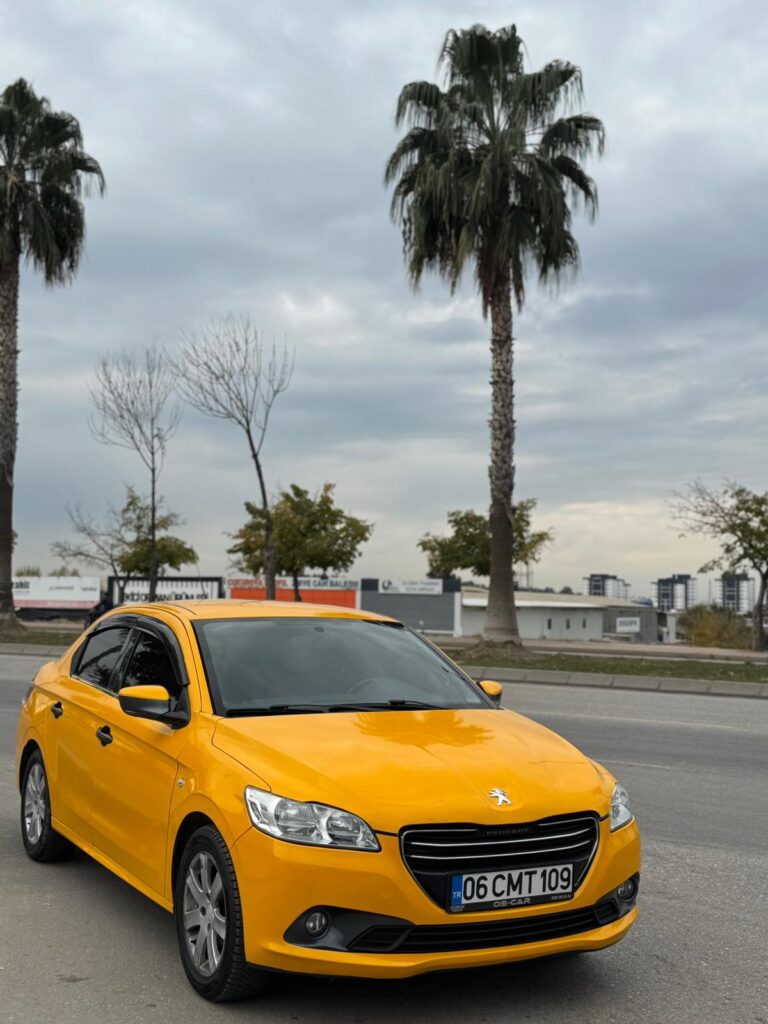 WhatsApp Image 2026-01-12 at 11.24