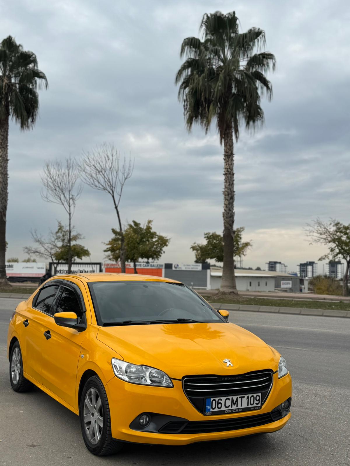 WhatsApp Image 2026-01-12 at 11.24.35